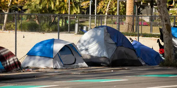 Homeless statistics - Scully